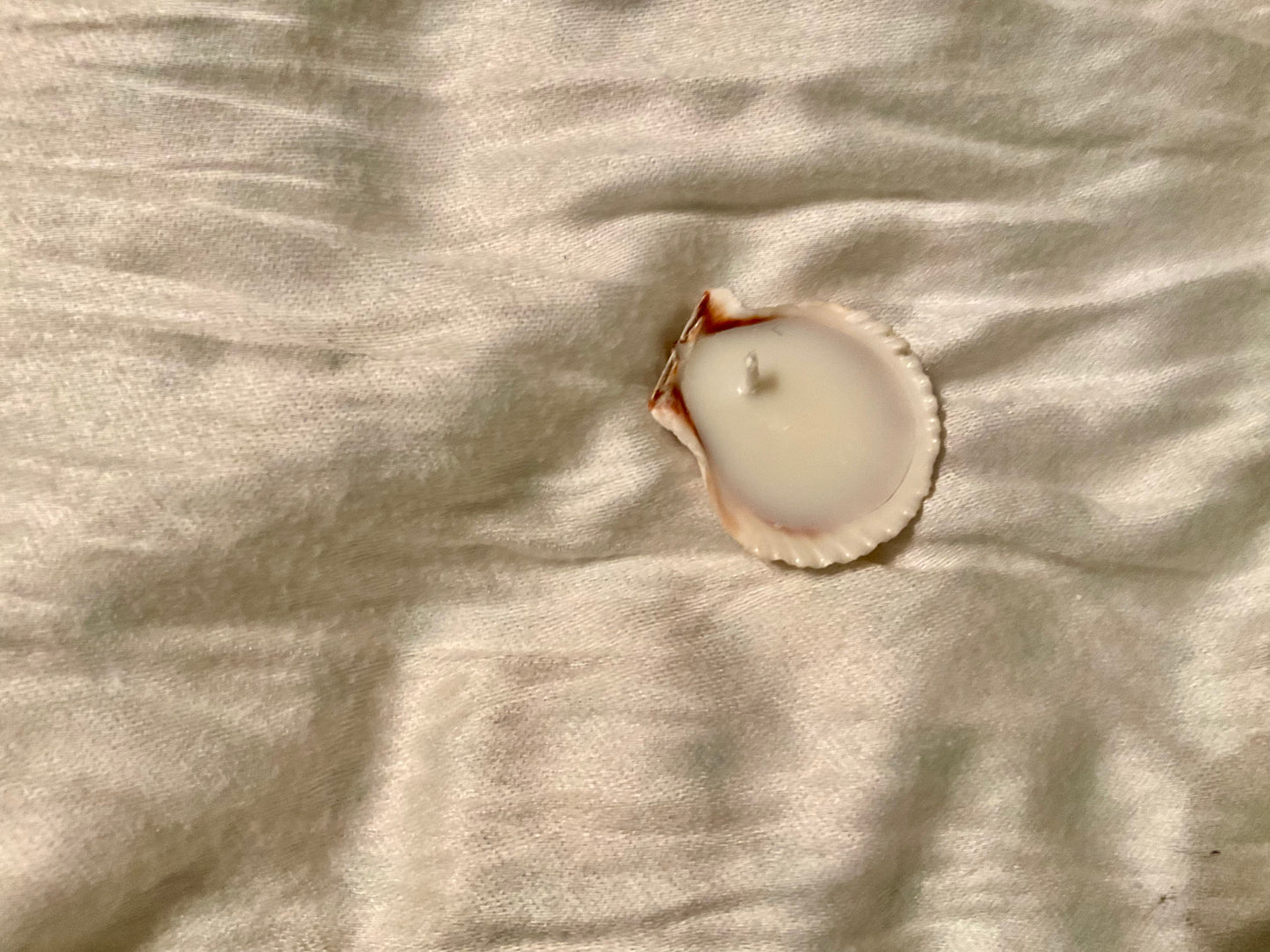 Shell candle